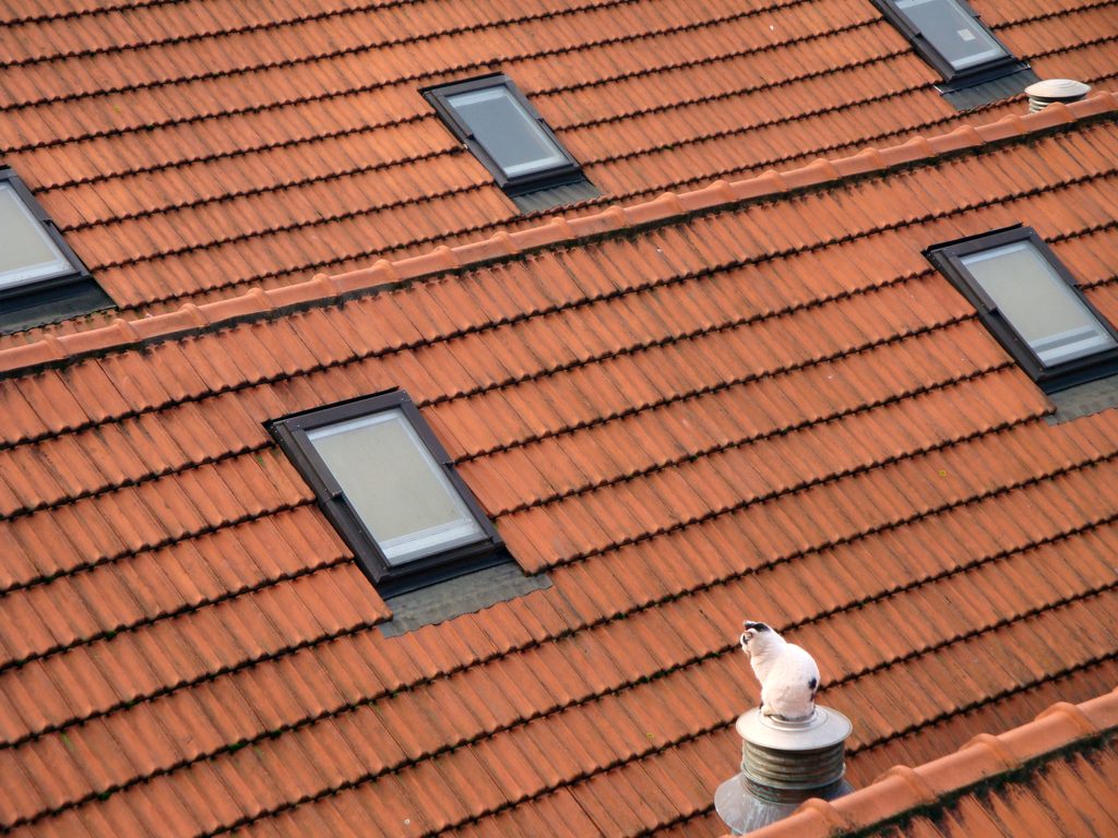 A terracotta tile roof fitted with modern skylight windows