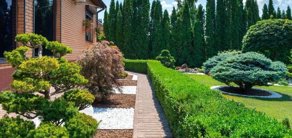 Step-by-Step Guide to Landscape Design Principles